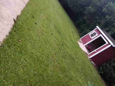 Lawn Care service in Darlington, 29532
