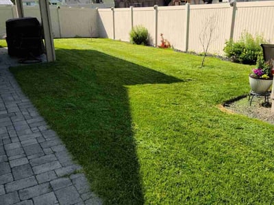 Lawn Care service in Cheney, 99004