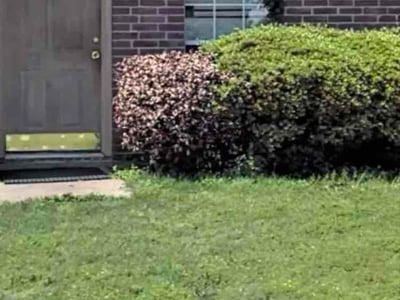 Lawn Care service in Little Elm, 75068