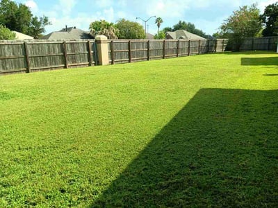Lawn Care service in Eugene, 97401