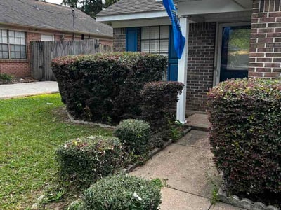 Lawn Care service in Foley, 36535