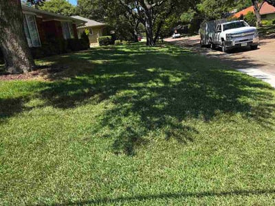 Lawn Care service in Sachse, 75048