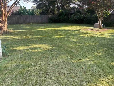Lawn Care service in Fairhope, 36532