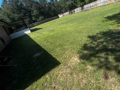 Lawn Care service in Miramar Beach, 32550