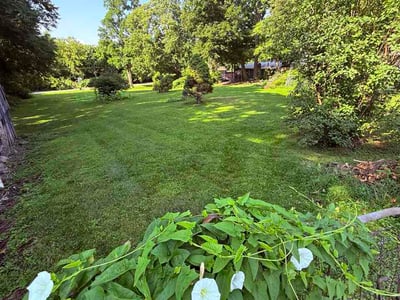 Lawn Care service in Binghamton, 13905