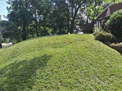 Lawn Care service in Binghamton, 13905