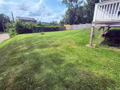 Lawn Care service in Binghamton, 13905