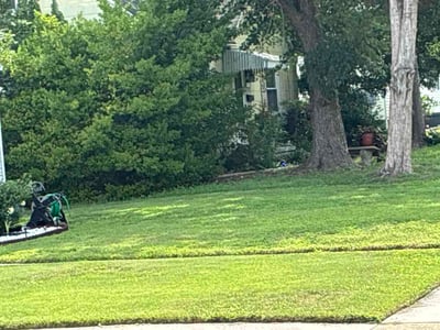 Lawn Care service in Charlottesville, 22902