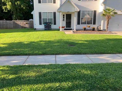 Lawn Care service in Charlottesville, 22902