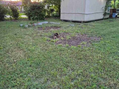 Leaf Removal service in Cypress, 77429