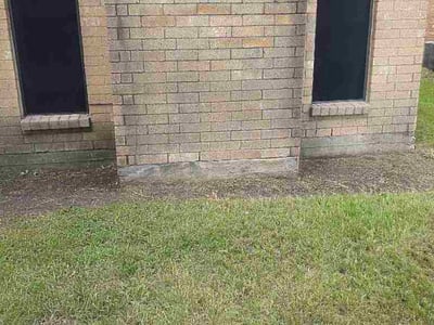 Leaf Removal service in Cypress, 77429