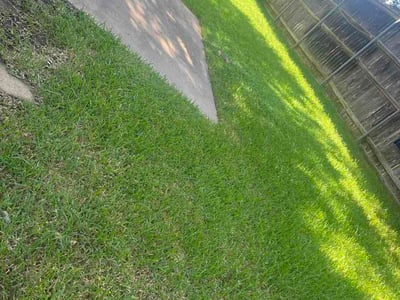 Lawn Care service in Mansfield, 76063