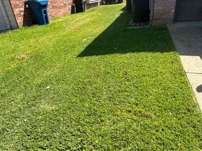 Lawn Care service in Coppell, 75019