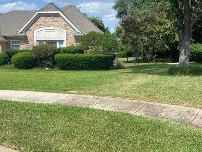 Lawn Care service in Coppell, 75019