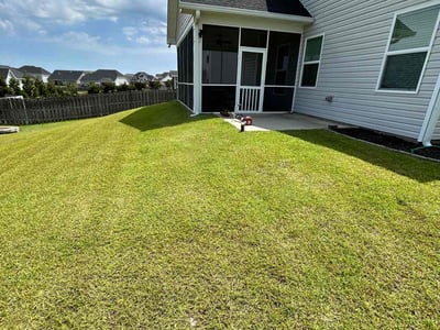 Lawn Care service in Endicott, 13760