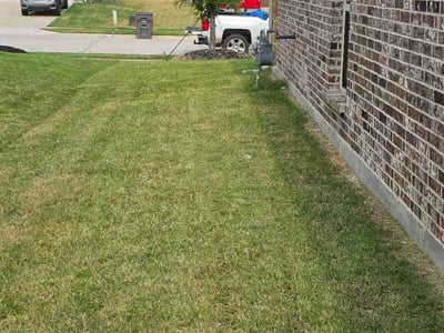 Lawn Care service in Terrell, 75160