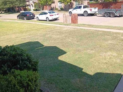 Lawn Care service in Rowlett, 75088