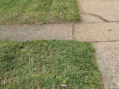 Lawn Care service in Urbana, 61801