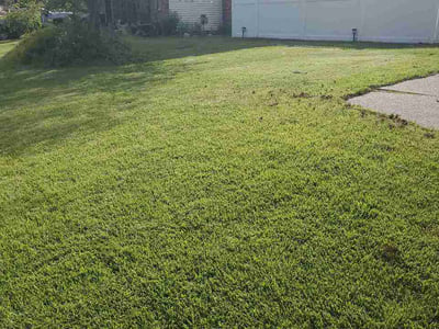 Lawn Care service in ,