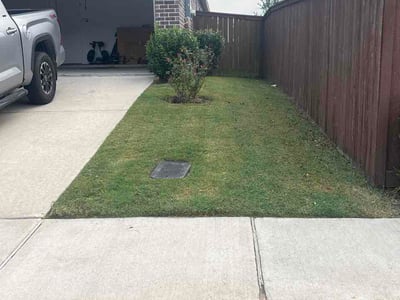Lawn Care service in Brownsville, 78520