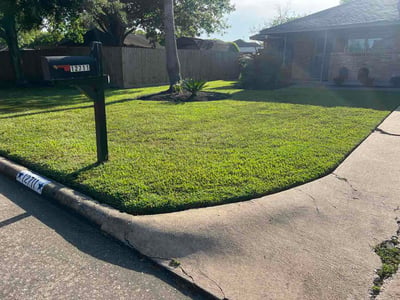 Lawn Care service in Brownsville, 78520