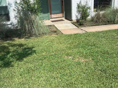 Lawn Care service in Wimberley, 78676