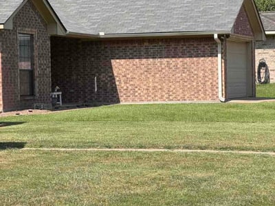 Lawn Care service in San Benito, 78586