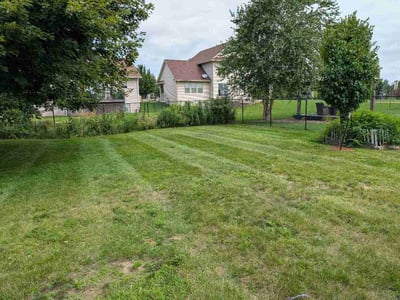Lawn Care service in Marion, 52302