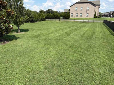 Lawn Care service in Nolensville, 37135