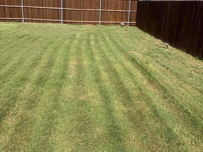 Lawn Care service in Glenn Heights, 75154