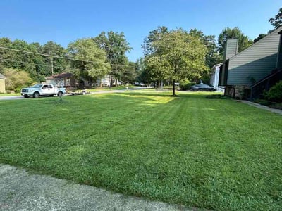Lawn Care service in Paradise, 95969