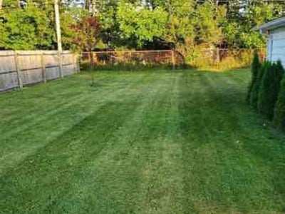 Lawn Care service in Paradise, 95969