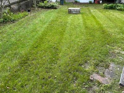 Lawn Care service in Burlington, 05401