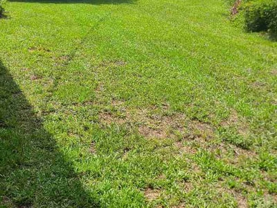 Lawn Care service in North Augusta, 29841
