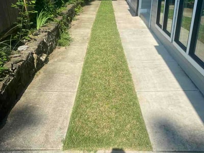 Lawn Care service in Westmoreland, 37186