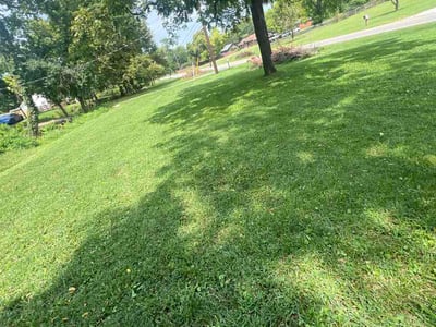 Lawn Care service in Woodbury, 37190