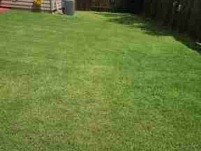 Lawn Care service in ,