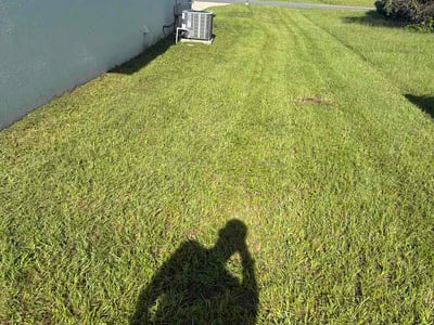 Lawn Care service in Ocala, 34480