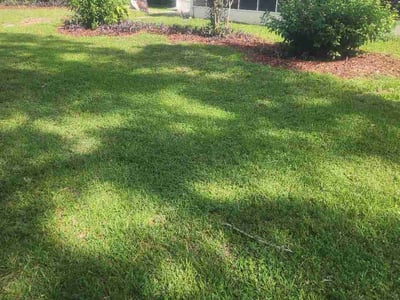 Lawn Care service in Ocala, 34480