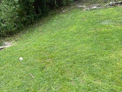 Lawn Care service in Charleston, 25301