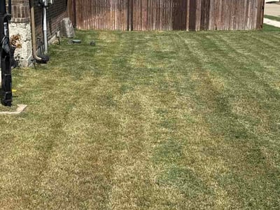 Lawn Care service in Denton, 76201
