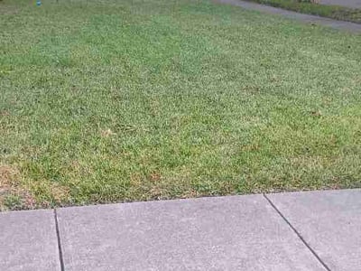 Lawn Care service in Allen, 75013