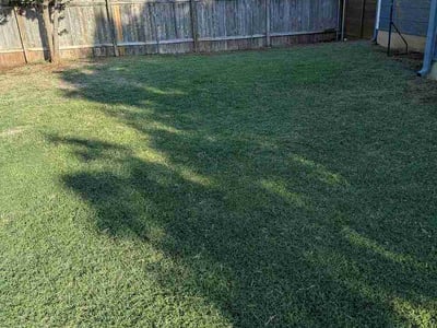 Lawn Care service in Spicewood, 78669