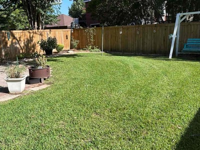 Lawn Care service in Frisco, 75033