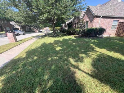 Lawn Care service in Frisco, 75033
