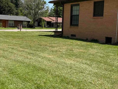 Lawn Care service in Corpus Christi, 78401