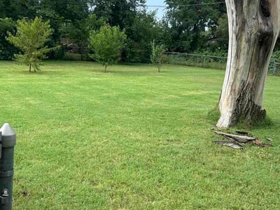 Lawn Care service in Longmont, 80501
