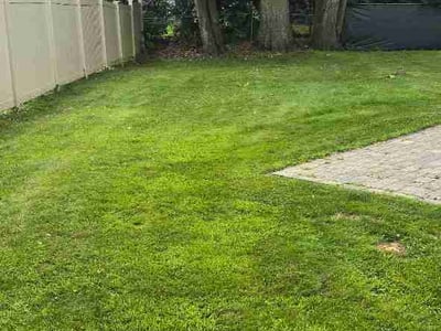 Lawn Care service in Auburn, 01501