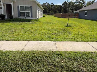 Lawn Care service in Crawfordville, 32327