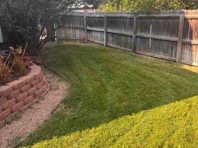Lawn Care service in Lafayette, 80026